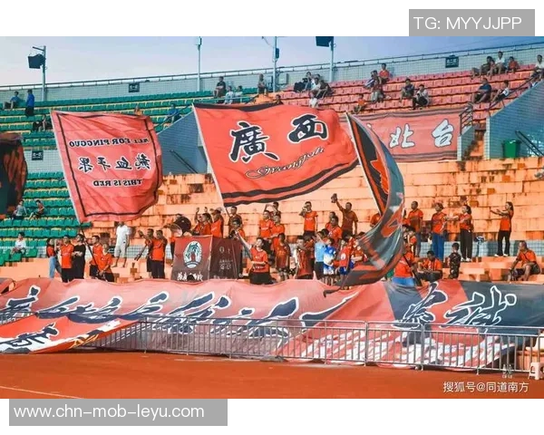 足球球迷巾的魅力与实用性探讨让每位球迷都能尽情享受比赛的热情与激情